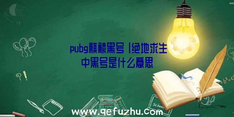 「pubg麒麟黑号」|绝地求生中黑号是什么意思